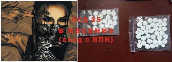 ГАЛЛЮЦИНОГЕННЫЕ ГРИБЫ Балахна
