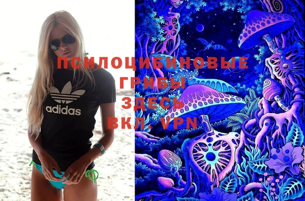 ГАЛЛЮЦИНОГЕННЫЕ ГРИБЫ Балахна