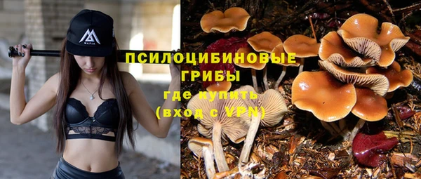ГАЛЛЮЦИНОГЕННЫЕ ГРИБЫ Балахна