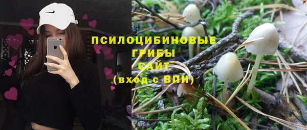 ГАЛЛЮЦИНОГЕННЫЕ ГРИБЫ Балахна