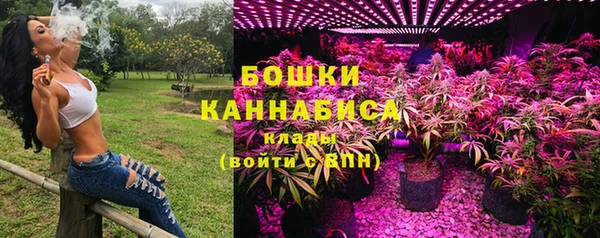 ГАЛЛЮЦИНОГЕННЫЕ ГРИБЫ Балахна