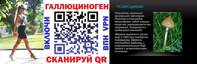 Купить  Бавлы  Псилоцибиновые грибы мицелий 
